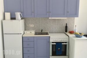 Thalia Apartment_best deals_Apartment_Cyclades Islands_Paros_Paros Chora