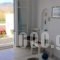 Thalia Apartment_holidays_in_Apartment_Cyclades Islands_Paros_Paros Chora