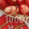 Traditional Guesthouse Marousio_holidays_in_Hotel_Epirus_Arta_Arta City