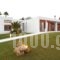 Villa Seven_lowest prices_in_Villa_Dodekanessos Islands_Rhodes_Rhodes Areas