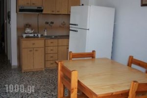 Kristi'S Apartments_best prices_in_Apartment_Macedonia_Pieria_Olympiaki Akti