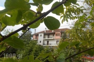 Traditional Guesthouse Marousio_accommodation_in_Hotel_Epirus_Arta_Arta City