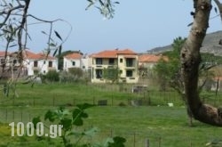 Elektra Apartments & Studios in Mykonos Chora, Mykonos, Cyclades Islands