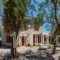 Eftalou Olive Grove_holidays_in_Hotel_Aegean Islands_Lesvos_Mythimna (Molyvos)