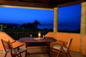 Galini Beach Villa_lowest prices_in_Villa_Ionian Islands_Zakinthos_Alykes