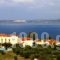 Lassi Hotel_best deals_Hotel_Ionian Islands_Kefalonia_Argostoli