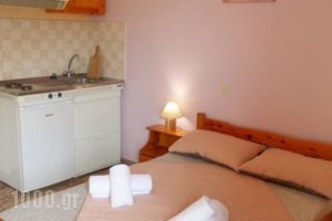 Stamoulis Apartments_holidays_in_Apartment_Ionian Islands_Kefalonia_Kefalonia'st Areas