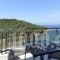 Villa Irene_best prices_in_Villa_Macedonia_Kavala_Kavala City