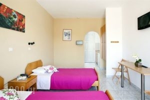 Dias Studios_best deals_Apartment_Dodekanessos Islands_Rhodes_Faliraki