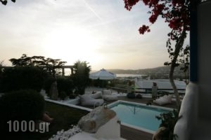 Paros Palace_accommodation_in_Hotel_Cyclades Islands_Paros_Paros Chora