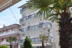 Giannis Hotel_travel_packages_in_Macedonia_Pieria_Paralia Katerinis