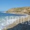 Morfes Ii_best deals_Hotel_Cyclades Islands_Naxos_Naxos chora