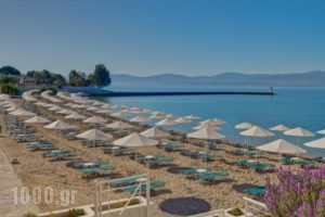 Palmariva Beach Bomo Club_best deals_Hotel_Central Greece_Evia_Eretria