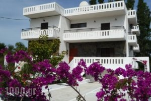 Zourpos Studios & Apartments_holidays_in_Apartment_Crete_Chania_Sfakia