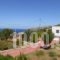 Villa Via Savoia_holidays_in_Villa_Ionian Islands_Lefkada_Drimonas