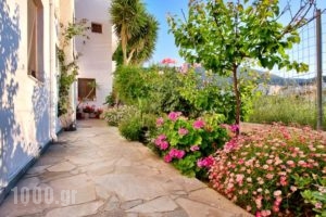 Kostas Apartments_best prices_in_Apartment_Crete_Heraklion_Stalida