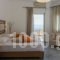 Harbour Studios And Apartment_best prices_in_Apartment_Crete_Chania_Palaeochora