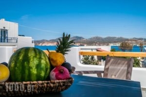 Vilos Suites_accommodation_in_Hotel_Cyclades Islands_Milos_Apollonia