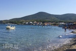 Spiti Hotel_travel_packages_in_Aegean Islands_Samos_Pythagorio