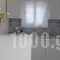 City Center Studio_accommodation_in_Hotel_Dodekanessos Islands_Rhodes_Rhodesora