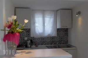 City Center Studio_best prices_in_Hotel_Dodekanessos Islands_Rhodes_Rhodesora