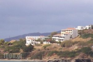 Villa Alexandros_accommodation_in_Villa_Cyclades Islands_Andros_Batsi