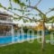 Villa Muse_accommodation_in_Villa_Crete_Heraklion_Tymbaki