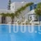 Aggeliki'S Diamond_best prices_in_Hotel_Cyclades Islands_Naxos_Agia Anna