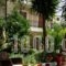 Oasis Apartments_lowest prices_in_Apartment_Peloponesse_Argolida_Tolo