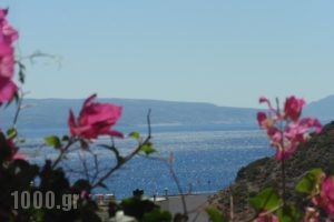 Fevro Hotel_accommodation_in_Hotel_Crete_Rethymnon_Plakias
