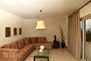 Villa Merika_lowest prices_in_Villa_Peloponesse_Arcadia_Xiropigado