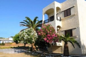 Andy's Gardens_holidays_in_Hotel_Crete_Chania_Kissamos