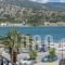 Marilis Studios_lowest prices_in_Hotel_Ionian Islands_Kefalonia_Argostoli