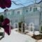 Seashell Apartments_travel_packages_in_Crete_Chania_Platanias