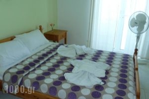 Seashell Apartments_best prices_in_Apartment_Crete_Chania_Platanias
