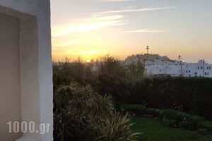 Anatoli Hotel_lowest prices_in_Hotel_Cyclades Islands_Naxos_Naxos Chora