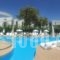 Palm Beach Hotel - Adults Only_best deals_Hotel_Dodekanessos Islands_Kos_Kos Chora