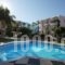 Bellos Hotel Apartments_best deals_Apartment_Crete_Heraklion_Chersonisos