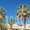 Angelina Apartments_accommodation_in_Apartment_Ionian Islands_Corfu_Roda