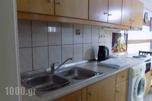 Toula'S Apartments_lowest prices_in_Apartment_Dodekanessos Islands_Rhodes_Faliraki