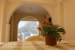 Acropolis Hotel_lowest prices_in_Hotel_Dodekanessos Islands_Kalimnos_Kalimnos Rest Areas