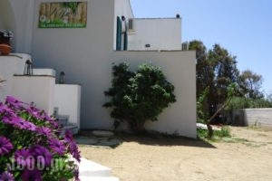 Kipos Studios_travel_packages_in_Cyclades Islands_Naxos_Agia Anna