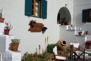 Kipos Studios_holidays_in_Hotel_Cyclades Islands_Naxos_Agia Anna