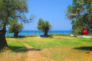 Paradiso Apartment_best deals_Apartment_Aegean Islands_Thasos_Thasos Chora