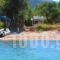 Paradiso Apartment_travel_packages_in_Aegean Islands_Thasos_Thasos Chora