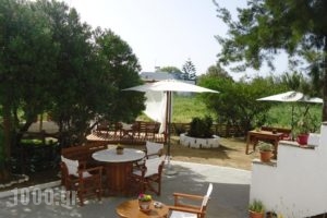 Kipos Studios_accommodation_in_Hotel_Cyclades Islands_Naxos_Agia Anna