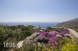 Studios Anemolithi in Amorgos Chora, Amorgos, Cyclades Islands