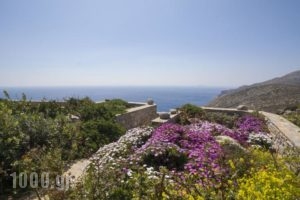 Studios Anemolithi_accommodation_in_Hotel_Cyclades Islands_Amorgos_Amorgos Chora