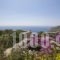 Studios Anemolithi_accommodation_in_Hotel_Cyclades Islands_Amorgos_Amorgos Chora