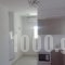 Antiparos Diamond_best deals_Hotel_Cyclades Islands_Antiparos_Antiparos Chora